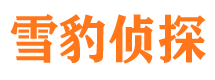 新洲寻人公司